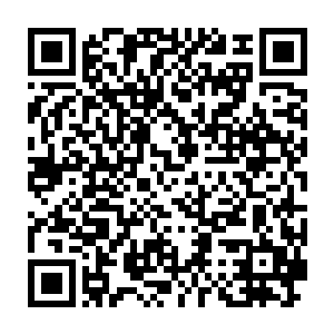 这是谢坤无法阻挡的连王忘这个北方人都称赞他们南方的剧作家了二维码生成