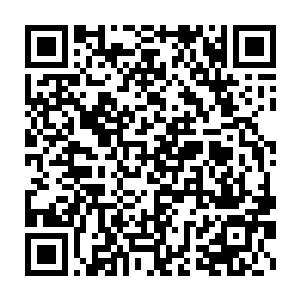 这是那个曾经在武林中显赫上百年的顶尖宗门大罗宗的一套盖世绝学二维码生成