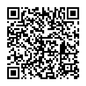 这是邪王从八荒大帝的修炼功法上参悟而來的一种强大的攻击神通二维码生成