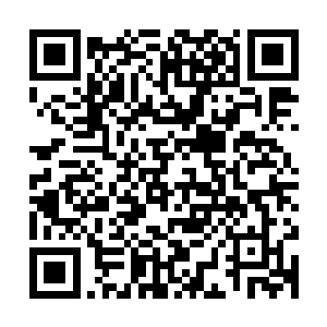 这显然不是一名人族修者做得到的――就算他愿意浪费灵气赶路二维码生成