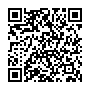 这暗影斗篷是用五阶珍稀变异生物暗影狐的皮毛制成二维码生成