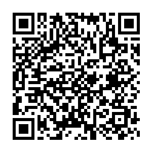 这最为普通不过的基础拳法在雷天的手中似乎也有了几分不凡的风采二维码生成