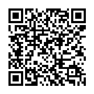 这有什么不踏实的……难道你觉得那个佣兵还敢耍我们不成二维码生成