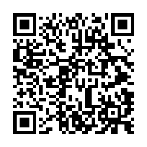 这本日记本上记载的都是我樱花宗在世界各地所隐藏的组织二维码生成