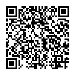 这条小蛇身上的鳞片完全就仿佛是刚刚熔炼出来的黄金涂抹在身上似的二维码生成
