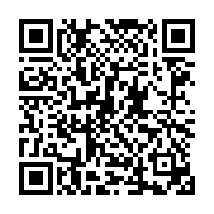 这条皮鞭从手握的地方到半米长的地方都是单独的一条鞭子二维码生成