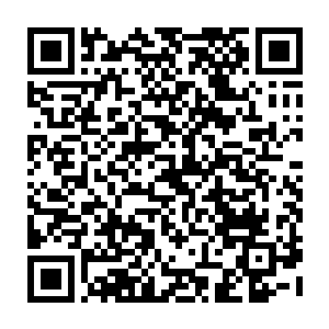 这条老狐狸再次的提出了让我把公司股份百分之五十的份额转让给他的要求二维码生成