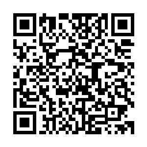 这枚紫灵珠和之前得到的那几枚灵珠肯定有着密不可分的关系二维码生成