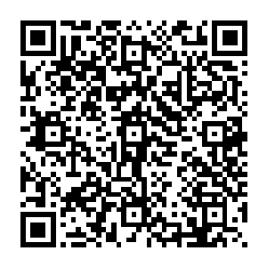 这架改装后的风语者2型单座滑翔机与未改装的风语者2型单座滑翔机几乎没有任何的不同二维码生成