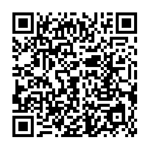 这柄杨开自某位墨教强者手中搜刮来的长枪承受不住如此高强度的征战二维码生成