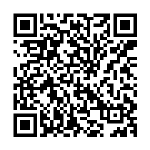 这样一件虚级中品攻击秘宝在拍卖开始的时候没多少人敢问津二维码生成