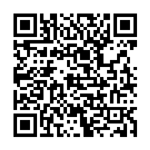 这样下去他的精神力会被完全切断和自然界的联系二维码生成