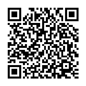 这样下去真的不妙啊……虽然我已经基本确定了凶手就是巴顿二维码生成