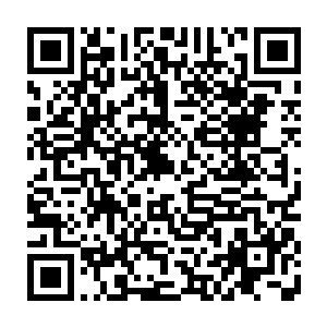 这样他们不必担心董事会再度失去掣肘的功能――但这不是说罗伯特就为人简单二维码生成