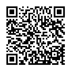 这样他们就可以庆幸享受着你从天堂堕入泥沼里的狼狈模样二维码生成