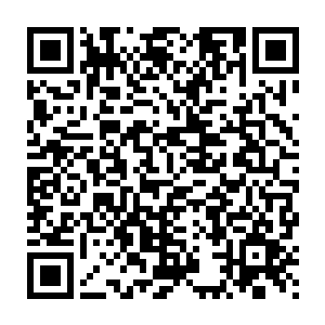这样各大经纪人就可以根据这张表来统筹安排手下艺人的试镜活动二维码生成
