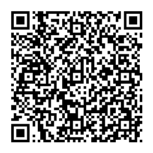 这样吧你们先考虑一下如果你们考虑的差不多了我会给总理老爷子打电话让他和你们亲自通话谈谈工作待遇之类的二维码生成