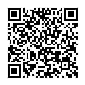 这样大数据的临床样本才能保证测量数据的精准二维码生成