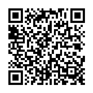 这样完全暴露他们之前放出的启睿重伤的消息是假的了二维码生成