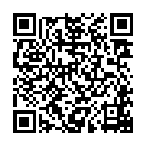 这样实力的强者恐怕就算是在那些个大家族都会受到重用的吧二维码生成