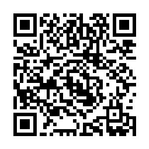 这样就导致了僵后这一种使用黑暗灵力的东西无法使用到它二维码生成