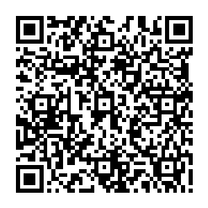这样就没有人知道他其实是皇家马德里主席大热门候选人拉蒙·卡尔德隆的密使了二维码生成