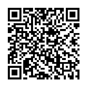 这样或许还有一条生路……一旦我们几个人动手的话二维码生成
