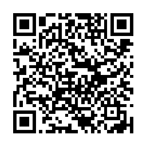这样才可以利用毒性强的一种毒将另外一种毒消灭二维码生成