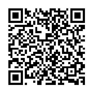 这样没有标记的乾坤袋和路峰给李锐的那十个乾坤袋一模一样二维码生成