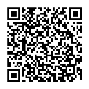 这样环境又不呆过就算真至尊出现也不会就此屈服何况还只一个法阵而已二维码生成