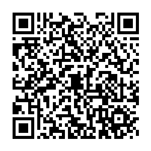 这样的人的确不太可能放弃舒适的生活不过而去拍摄户外综艺节目二维码生成
