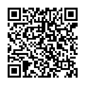 这样的价格基本上是谁买谁亏了……他都已经上过一次当了二维码生成