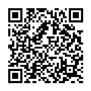 这样的位置在好莱坞备受那些小演员和他们的经纪人追捧二维码生成