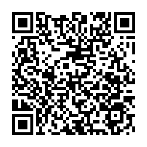 这样的失败或许可以说明为什么瓦斯科达伽马本赛季会表现的如此糟糕二维码生成