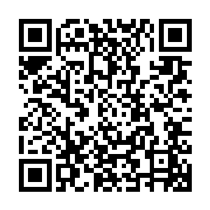 这样的实力增加可并不是其他血族吸食人类的鲜血所能够比拟的二维码生成