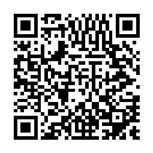 这样的思路是不是可以沿用到自己的海洋捕捞事业版图上来二维码生成