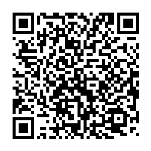 这样的感觉总会让王氏有一种自己这个当家主母名不正言不顺的感觉二维码生成