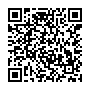 这样的攻击强度几乎达到了武王阶段武者的攻击强度二维码生成