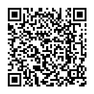 这样的狂言了……毕竟你对我们这些高手的实力连个概念都没有啊……二维码生成