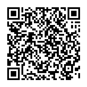 这样的票房数字也证明了杜克和华纳兄弟制定和采取的营销策略是正确的二维码生成