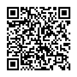 这样的罕见海棠品种的确只配放在忠勇侯府的海棠亭来养着二维码生成