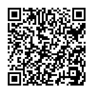这样的表情别人不一定看的出来不过跟着祖父的新井浩一确是非常了解的二维码生成
