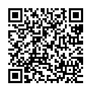 这样的规模已经完全不逊色于一些国事访问的大型记者招待会了二维码生成