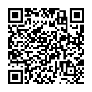 这样的话……就算我不用那些制造意外的手段杀死你二维码生成