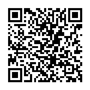 这样看着眼前水墨一般安静美好的画面的情形已经不知是第几次二维码生成