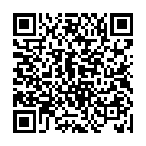 这样等到时候我们再重新开放一下技术支持作为砝码二维码生成