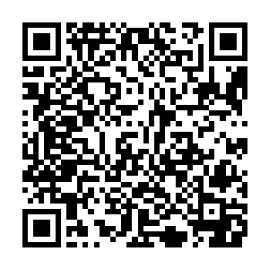 这样连绵不停下的雨水连呆在房子里面的林封谨等人都有一种发霉的感觉二维码生成