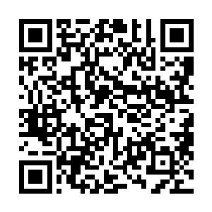 这根本就不是他们正常飞行妖兽和大妖可以抗衡的力量啊二维码生成