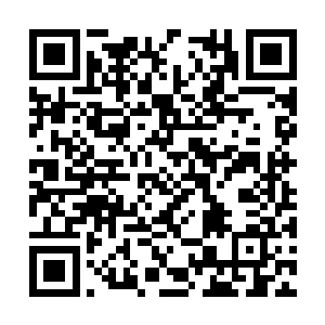 这档收视率已经稳定在二千万以上人数的娱乐节目二维码生成