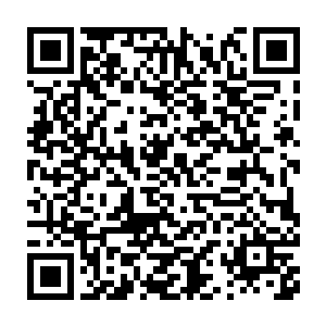 这棵龙涎果树不但每千年可以结出使人武修提高整整一段的龙涎果二维码生成